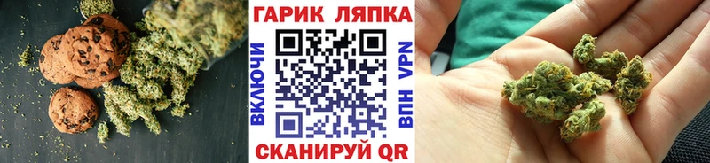 гидра ссылка  Сясьстрой  Canna-Cookies марихуана 