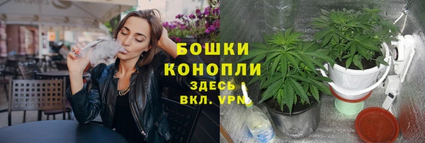трава Домодедово