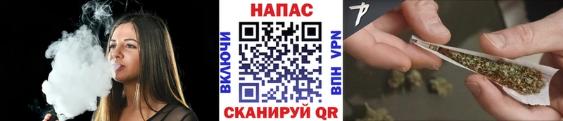 mega как войти  Сясьстрой  Марихуана тримм 